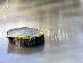 获奖风景摄影作品，捕捉自然之美，展现艺术魅力获奖风景摄影作品图片